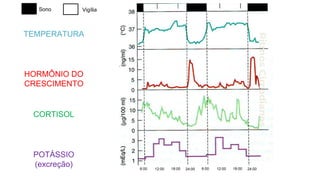 Ritmos
Circadianos
12:00 18:00 24:00
6:00 12:00 18:00 24:00
6:00
TEMPERATURA
HORMÔNIO DO
CRESCIMENTO
CORTISOL
POTÁSSIO
(excreção)
Sono Vigília
 