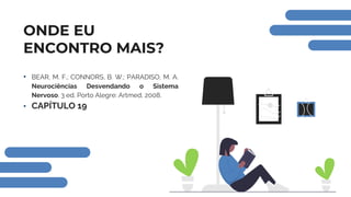 ONDE EU
ENCONTRO MAIS?
• BEAR, M. F.; CONNORS, B. W.; PARADISO, M. A.
Neurociências Desvendando o Sistema
Nervoso. 3 ed. Porto Alegre: Artmed, 2008.
• CAPÍTULO 19
 
