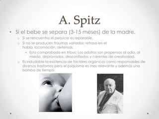 A. SpitzSi el bebe se separa (3-15 meses) de la madre.Si se rencuentra el perjuicio es reparable.Si no se producen traumas variados: retraso en el habla, locomoción, defensas.Esta comprobado en tribus; Los adultos son propensos al odio, al miedo, depravados, desconfiados y carentes de creatividad.Es indudable la existencia de factores orgánicos como responsables de diversos trastornos pero el psiquismo es mas relevante y además una bomba de tiempo.