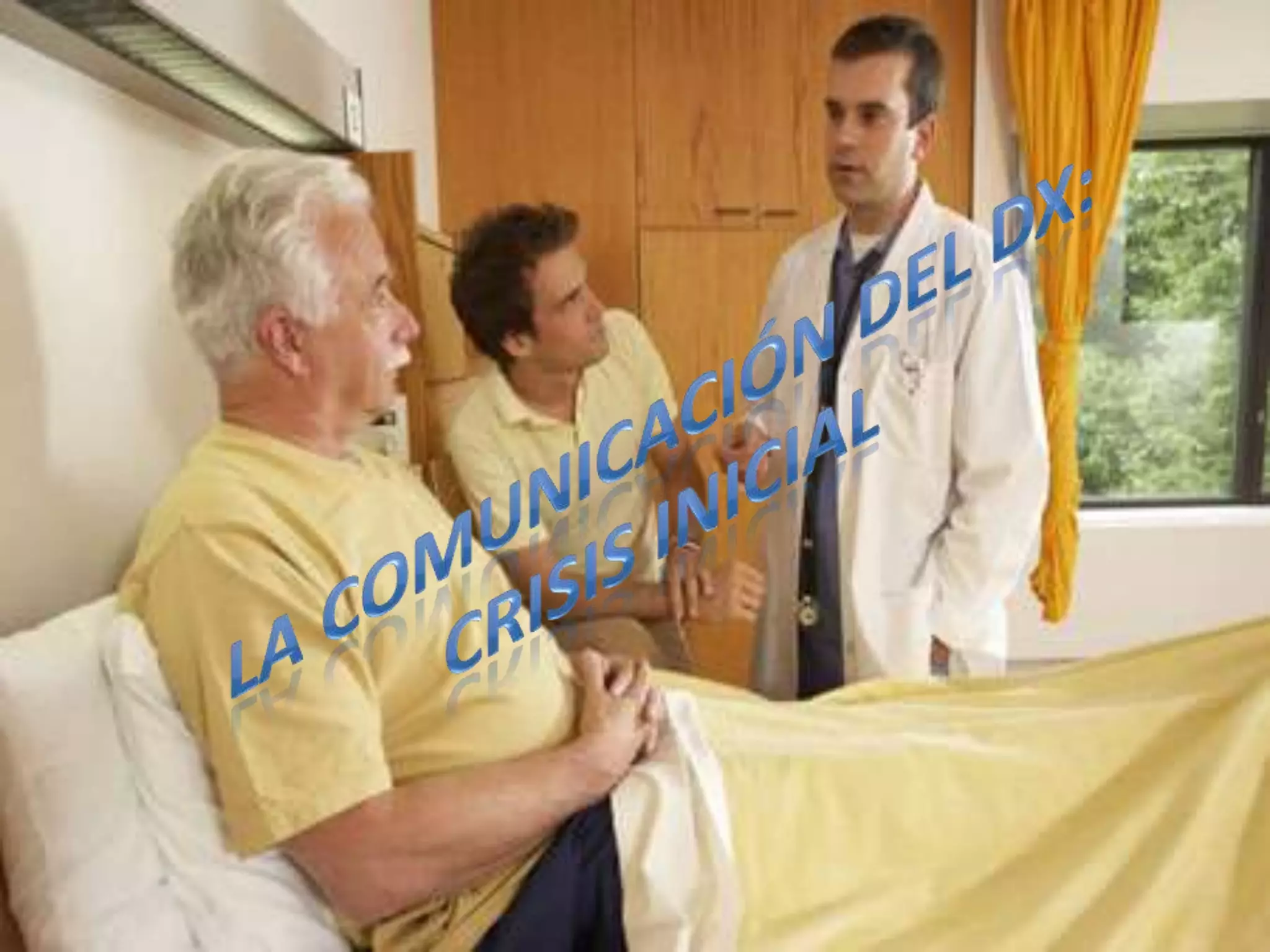 LA COMUNICACIÓN DEL DX:CRISIS INICIAL