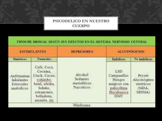 PSICODELICO EN NUESTRO
CUERPO
 