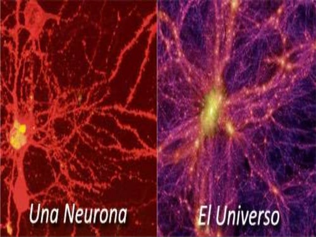 ciencia ciencia