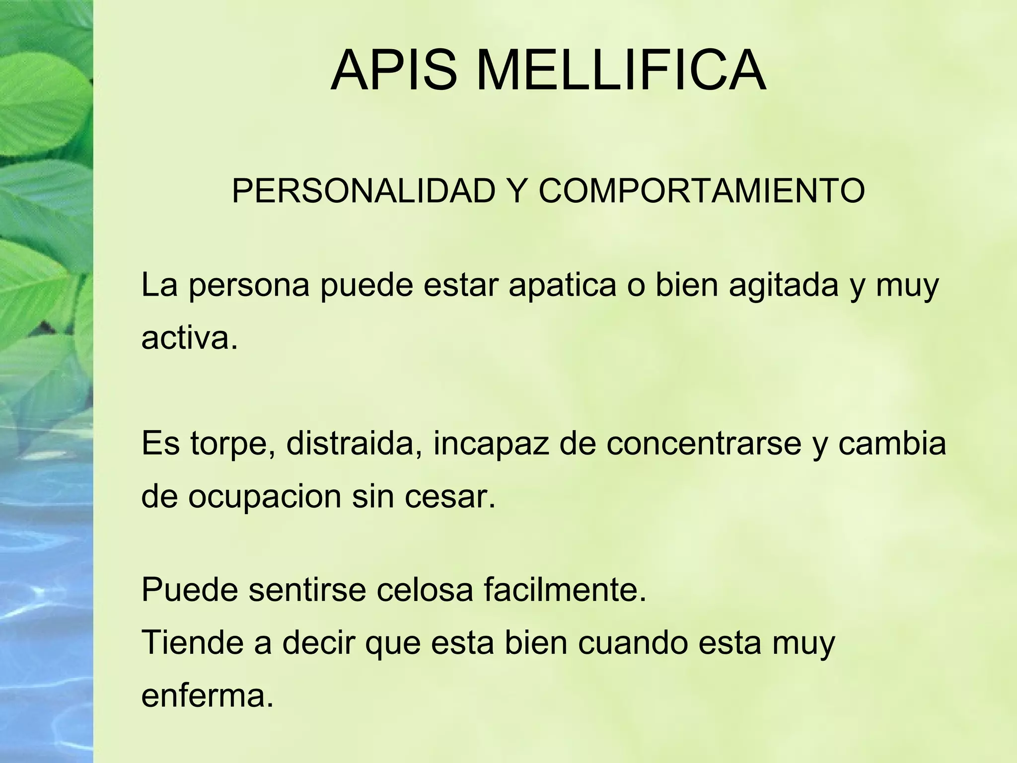 APIS MELLIFICA PERSONALIDAD Y COMPORTAMIENTO La persona puede estar apatica o bien agitada y muy activa. Es torpe, distraida, incapaz de concentrarse y cambia de ocupacion sin cesar. Puede sentirse celosa facilmente. Tiende a decir que esta bien cuando esta muy enferma. 