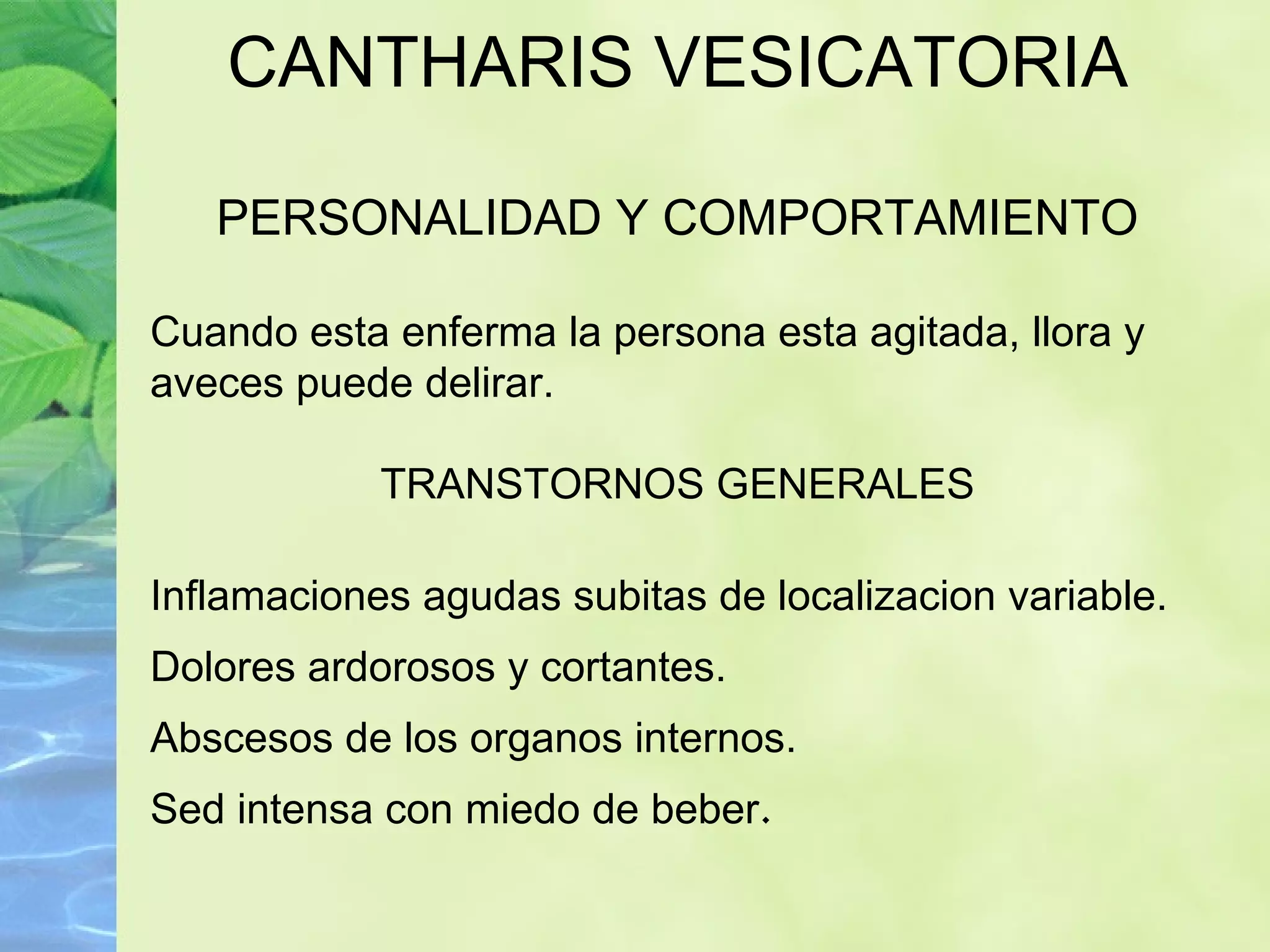 CANTHARIS VESICATORIA PERSONALIDAD Y COMPORTAMIENTO Cuando esta enferma la persona esta agitada, llora y aveces puede delirar. TRANSTORNOS GENERALES Inflamaciones agudas subitas de localizacion variable. Dolores ardorosos y cortantes. Abscesos de los organos internos. Sed intensa con miedo de beber . 