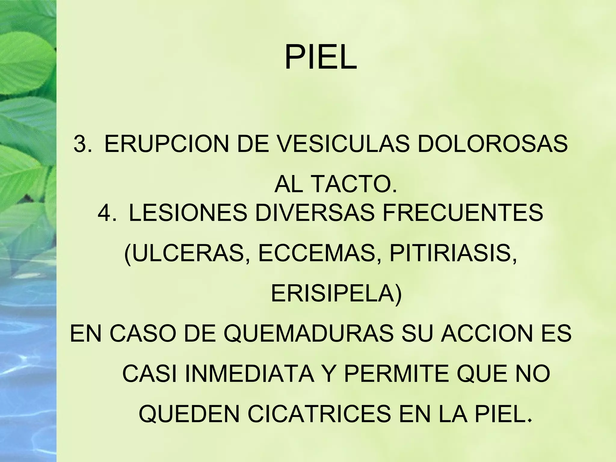 PIEL ERUPCION DE VESICULAS DOLOROSAS AL TACTO. LESIONES DIVERSAS FRECUENTES (ULCERAS, ECCEMAS, PITIRIASIS, ERISIPELA) EN CASO DE QUEMADURAS SU ACCION ES CASI INMEDIATA Y PERMITE QUE NO QUEDEN CICATRICES EN LA PIEL . 