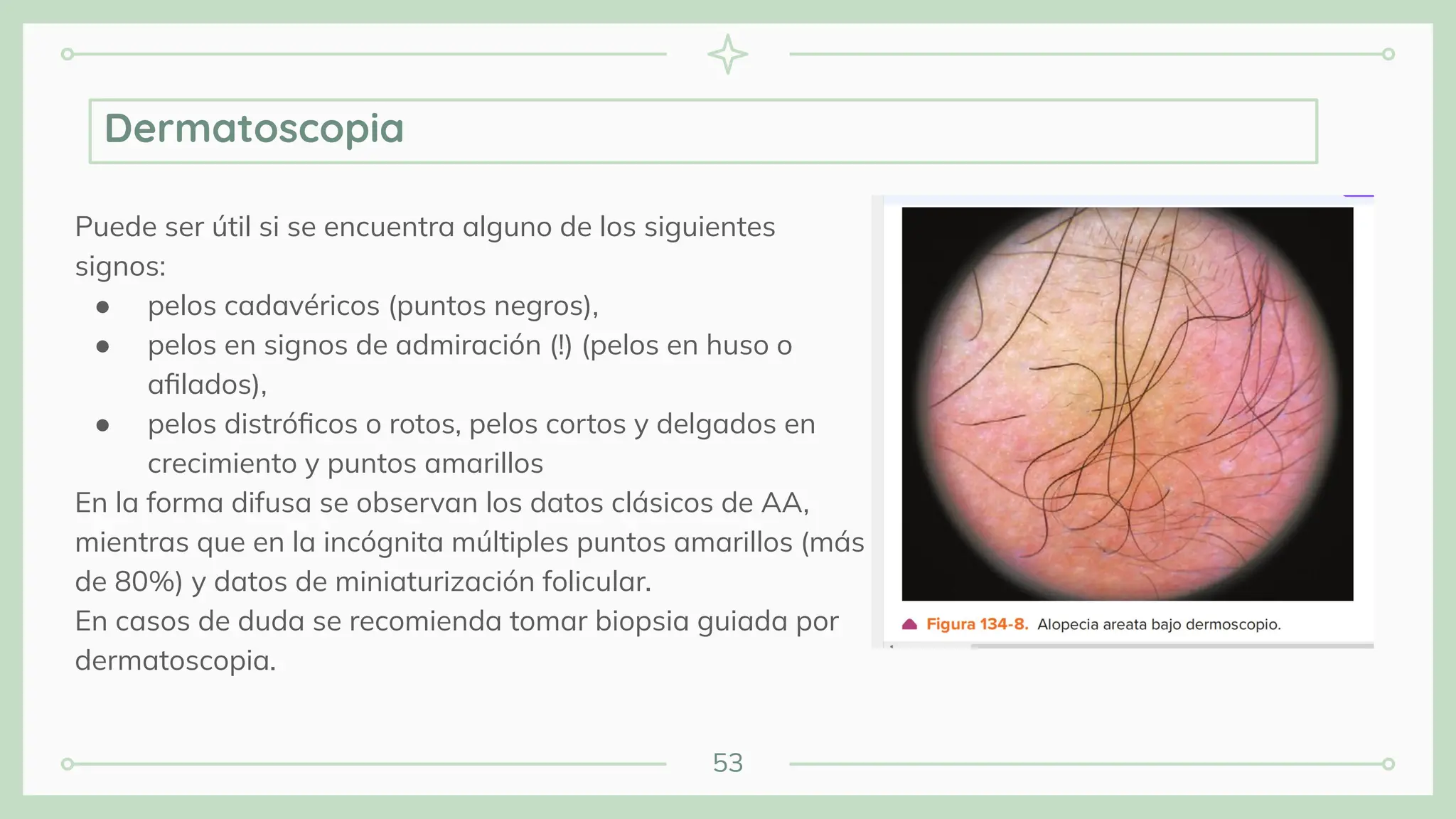 53
Puede ser útil si se encuentra alguno de los siguientes
signos:
● pelos cadavéricos (puntos negros),
● pelos en signos de admiración (!) (pelos en huso o
aﬁlados),
● pelos distróﬁcos o rotos, pelos cortos y delgados en
crecimiento y puntos amarillos
En la forma difusa se observan los datos clásicos de AA,
mientras que en la incógnita múltiples puntos amarillos (más
de 80%) y datos de miniaturización folicular.
En casos de duda se recomienda tomar biopsia guiada por
dermatoscopia.
Dermatoscopia
 