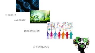 BIOLOGÍA
AMBIENTE
INTERACCIÓN
APRENDIZAJE
 