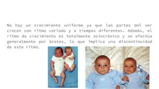 No hay un crecimiento uniforme ya que las partes del ser
crecen con ritmo variado y a tiempos diferentes. Además, el
ritmo de crecimiento es totalmente asincrónico y se efectúa
generalmente por brotes, lo que implica una discontinuidad
de este ritmo.
 