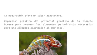 La maduración tiene un valor adaptativo.
Capacidad plástica del potencial genético de la especie
humana para proveer los elementos psicofísicos necesarios
para una adecuada adaptación al ambiente.
 