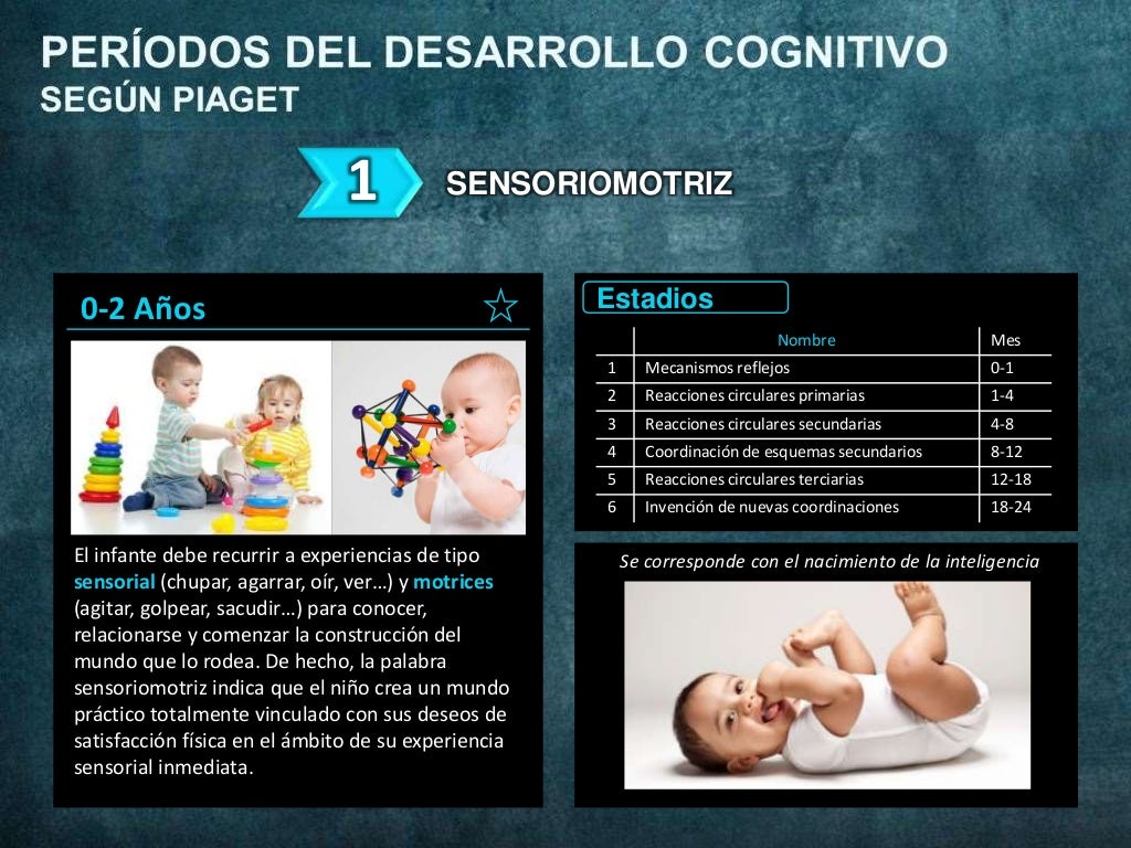 Etapas del Desarrollo Cognitivo según Piaget Operaciones