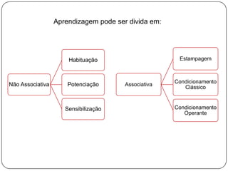 Aprendizagem pode ser divida em:




                      Habituação                      Estampagem



                                                     Condicionamento
Não Associativa       Potenciação      Associativa
                                                        Clássico



                     Sensibilização                  Condicionamento
                                                        Operante
 