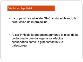  La dopamina a nivel del SNC actúa inhibiendo la
producción de la prolactina.
 Al ser inhibida la dopamina aumenta el nivel de la
prolactina lo que da lugar a los efectos
secundarios como la ginecomastia y la
galactorrea.
Vía tuberohipofisial.
 