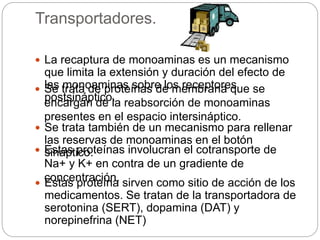 Transportadores.
 Se trata de proteínas de membrana que se
encargan de la reabsorción de monoaminas
presentes en el espacio intersináptico.
 Estas proteínas involucran el cotransporte de
Na+ y K+ en contra de un gradiente de
concentración.
 La recaptura de monoaminas es un mecanismo
que limita la extensión y duración del efecto de
las monoaminas sobre los receptores
postsináptico.
 Se trata también de un mecanismo para rellenar
las reservas de monoaminas en el botón
sináptico.
 Estas proteína sirven como sitio de acción de los
medicamentos. Se tratan de la transportadora de
serotonina (SERT), dopamina (DAT) y
norepinefrina (NET)
 