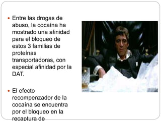  Entre las drogas de
abuso, la cocaína ha
mostrado una afinidad
para el bloqueo de
estos 3 familias de
proteínas
transportadoras, con
especial afinidad por la
DAT.
 El efecto
recompenzador de la
cocaína se encuentra
por el bloqueo en la
recaptura de
 