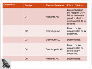 Dopamina Subtipo Efector Primario Efecto Clínico.
D1 Aumenta AC
La estimulación
del receptor D1 y
D2 es necesaria
para los efectos
estimulantes de la
cocaína
D2 Disminuye AC
Blanco de los
antagonistas de la
dopamina.
D3 Disminuye AC Desconocido.
D4 Disminuye la AC
Blanco de los
antagonistas de
serotonina y
dopamina.
D5 Aumenta AC Desconocido.
 