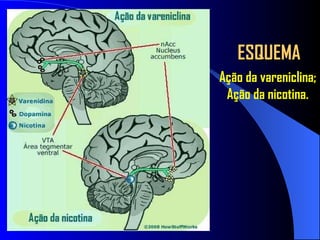 ESQUEMA Ação da vareniclina; Ação da nicotina. 