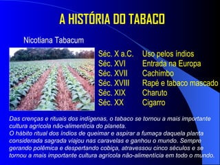 Nicotiana Tabacum A HISTÓRIA DO TABACO Séc. X a.C. Uso pelos índios Séc. XVI Entrada na Europa Séc. XVII Cachimbo Séc. XVIII Rapé e tabaco mascado Séc. XIX Charuto Séc. XX Cigarro Das crenças e rituais dos indígenas, o tabaco se tornou a mais importante cultura agrícola não-alimentícia do planeta.  O hábito ritual dos índios de queimar e aspirar a fumaça daquela planta considerada sagrada viajou nas caravelas e ganhou o mundo. Sempre gerando polêmica e despertando cobiça, atravessou cinco séculos e se tornou a mais importante cultura agrícola não-alimentícia em todo o mundo.  