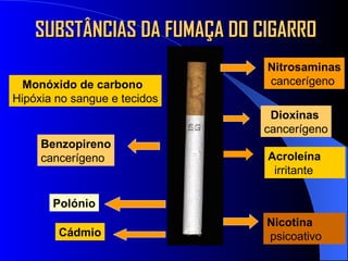 Nitrosaminas cancerígeno Dioxinas cancerígeno Acroleína irritante Nicotina psicoativo Monóxido de carbono Hipóxia no sangue e tecidos Benzopireno cancerígeno Polónio Cádmio SUBSTÂNCIAS DA FUMAÇA DO CIGARRO 