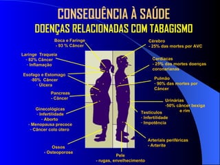 Cardíacas - 25% das mortes doenças coronarianas Urinárias 50% câncer bexiga e rim Esofago e Estomago 80%  Cãncer Úlcera Pancreas - Câncer Pulmão 90% das mortes por Câncer Cérebro - 25% das mortes por AVC Laringe  Traqueia 82% Câncer Inflamação Arteriais periféricas - Arterite Boca e Faringe - 93 % Câncer Testículos Infertilidade Impotência Ginecológicas Infertilidade Aborto  Menopausa precoce Câncer colo útero  Ossos - Osteoporose Pele - rugas, envelhecimento CONSEQUÊNCIA À SAÚDE DOENÇAS RELACIONADAS COM TABAGISMO 