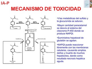 MECANISMO DE TOXICIDAD
•Vías metabólicas del sulfato y
la glucuronida se saturan.
•Mayor cantidad paracetamol
se desvía al sistema del
citocromo P-450 donde se
produce NAPQI.
•Suministros hepatocel de
glutatión se agotan.
•NAPQI puede reaccionar
libremente con las membranas
celulares, causando amplios
daños y muerte de muchos
hepatocitos, dando como
resultado necrosis hepática
aguda.
 
