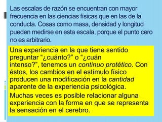 Las escalas de razón se encuentran con mayor
frecuencia en las ciencias físicas que en las de la
conducta. Cosas como masa, densidad y longitud
pueden medirse en esta escala, porque el punto cero
no es arbitrario.
Una experiencia en la que tiene sentido
preguntar “¿cuánto?” o “¿cuán
intenso?”, tenemos un continuo protético. Con
éstos, los cambios en el estímulo físico
producen una modificación en la cantidad
aparente de la experiencia psicológica.
Muchas veces es posible relacionar alguna
experiencia con la forma en que se representa
la sensación en el cerebro.
 