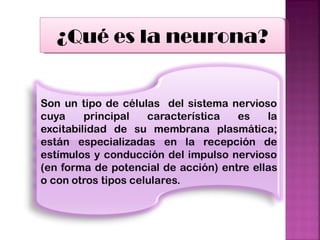 ¿Qué es la neurona? 