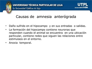 Causas de  amnesia  anterógrada Daño sufrido en el hipocampo  y en sus entradas  o salidas. La formación del hipocampo contiene neuronas que responden cuando el animal se encuentra  en una ubicación particular, contiene redes que siguen las relaciones entre estimulaos en el entorno. Anoxia  temporal. 