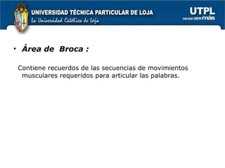 Área de  Broca :   Contiene recuerdos de las secuencias de movimientos musculares requeridos para articular las palabras. 