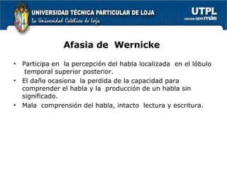 Afasia de  Wernicke Participa en  la percepción del habla localizada  en el lóbulo  temporal superior posterior. El daño ocasiona  la perdida de la capacidad para comprender el habla y la  producción de un habla sin significado.  Mala  comprensión del habla, intacto  lectura y escritura.  
