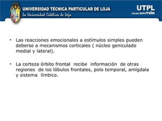 Las reacciones emocionales a estímulos simples pueden deberse a mecanismos corticales ( núcleo geniculado medial y lateral). La corteza órbito frontal  recibe  información  de otras regiones  de los lóbulos frontales, polo temporal, amígdala  y sistema  límbico. 