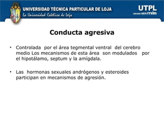 Conducta agresiva Controlada  por el área tegmental ventral  del cerebro  medio Los mecanismos de esta área  son modulados  por el hipotálamo, septum y la amígdala. Las  hormonas sexuales andrógenos y esteroides  participan en mecanismos de agresión.  