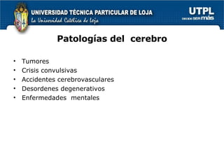Patologías del  cerebro Tumores Crisis convulsivas Accidentes cerebrovasculares Desordenes degenerativos Enfermedades  mentales 