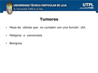 Tumores Masa de  células que  no cumplen con una función  útil. Malignos  o  cancerosos  Benignos  
