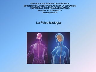La Psicofisiología
REPUBLICA BOLIVARIANA DE VENEZUELA
MINISTERIO DEL PODER POPULAR PARA LA EDUCACIÓN
UNIVERSIDAD BICENTENARIA DE ARAGUA
NUCLEO: V.L P. Sección P1
Neurociencias II
 