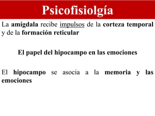 Psicofisiolgía
La amígdala recibe impulsos de la corteza temporal
y de la formación reticular
El papel del hipocampo en las emociones
El hipocampo se asocia a la memoria y las
emociones
 