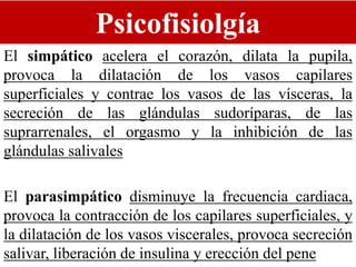 Psicofisiolgía
El simpático acelera el corazón, dilata la pupila,
provoca la dilatación de los vasos capilares
superficiales y contrae los vasos de las vísceras, la
secreción de las glándulas sudoríparas, de las
suprarrenales, el orgasmo y la inhibición de las
glándulas salivales
El parasimpático disminuye la frecuencia cardiaca,
provoca la contracción de los capilares superficiales, y
la dilatación de los vasos viscerales, provoca secreción
salivar, liberación de insulina y erección del pene
 
