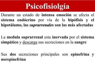 Psicofisiolgía
Durante un estado de intensa emoción se afecta el
sistema endócrino por vía de la hipófisis y el
hipotálamo, las suprarrenales son las más afectadas
La medula suprarrenal esta inervada por el sistema
simpático y descarga sus secreciones en la sangre
Sus dos secreciones principales son epinefrina y
norepinefrina
 
