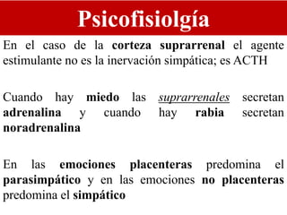 Psicofisiolgía
En el caso de la corteza suprarrenal el agente
estimulante no es la inervación simpática; es ACTH
Cuando hay miedo las suprarrenales secretan
adrenalina y cuando hay rabia secretan
noradrenalina
En las emociones placenteras predomina el
parasimpático y en las emociones no placenteras
predomina el simpático
 