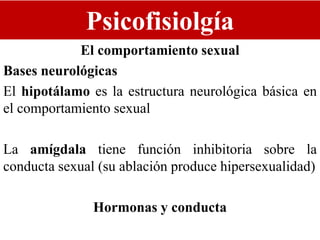 Psicofisiolgía
El comportamiento sexual
Bases neurológicas
El hipotálamo es la estructura neurológica básica en
el comportamiento sexual
La amígdala tiene función inhibitoria sobre la
conducta sexual (su ablación produce hipersexualidad)
Hormonas y conducta
 