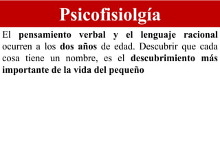 Psicofisiolgía
El pensamiento verbal y el lenguaje racional
ocurren a los dos años de edad. Descubrir que cada
cosa tiene un nombre, es el descubrimiento más
importante de la vida del pequeño
 