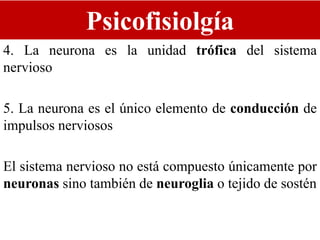 Psicofisiolgía
4. La neurona es la unidad trófica del sistema
nervioso
5. La neurona es el único elemento de conducción de
impulsos nerviosos
El sistema nervioso no está compuesto únicamente por
neuronas sino también de neuroglia o tejido de sostén
 
