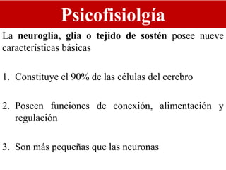 Psicofisiolgía
La neuroglia, glia o tejido de sostén posee nueve
características básicas
1. Constituye el 90% de las células del cerebro
2. Poseen funciones de conexión, alimentación y
regulación
3. Son más pequeñas que las neuronas
 