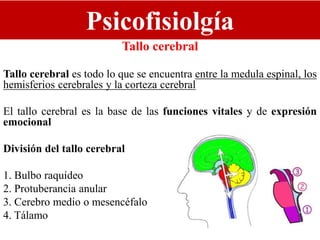 Psicofisiolgía
Tallo cerebral
Tallo cerebral es todo lo que se encuentra entre la medula espinal, los
hemisferios cerebrales y la corteza cerebral
El tallo cerebral es la base de las funciones vitales y de expresión
emocional
División del tallo cerebral
1. Bulbo raquídeo
2. Protuberancia anular
3. Cerebro medio o mesencéfalo
4. Tálamo
 