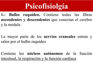 Psicofisiolgía
1.- Bulbo raquídeo. Contiene todas las fibras
ascendentes y descendentes que conectan el cerebro
y la medula
La mayor parte de los nervios craneales entran y
salen por el bulbo raquídeo
Contiene los núcleos autónomos de la función
intestinal, la respiración y la función cardiaca
 
