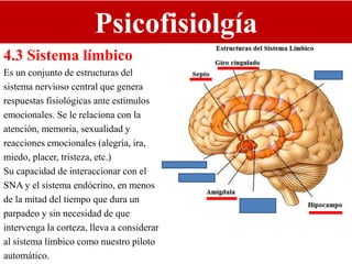 Psicofisiolgía
4.3 Sistema límbico
Es un conjunto de estructuras del
sistema nervioso central que genera
respuestas fisiológicas ante estímulos
emocionales. Se le relaciona con la
atención, memoria, sexualidad y
reacciones emocionales (alegría, ira,
miedo, placer, tristeza, etc.)
Su capacidad de interaccionar con el
SNA y el sistema endócrino, en menos
de la mitad del tiempo que dura un
parpadeo y sin necesidad de que
intervenga la corteza, lleva a considerar
al sistema límbico como nuestro piloto
automático.
 