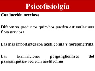 Psicofisiolgía
Conducción nerviosa
Diferentes productos químicos pueden estimular una
fibra nerviosa
Las más importantes son acetilcolina y norepinefrina
Las terminaciones posganglionares del
parasimpático secretan acetilcolina
 
