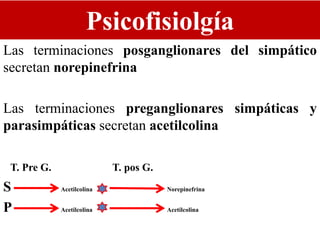Psicofisiolgía
Las terminaciones posganglionares del simpático
secretan norepinefrina
Las terminaciones preganglionares simpáticas y
parasimpáticas secretan acetilcolina
T. Pre G. T. pos G.
S Acetilcolina Norepinefrina
P Acetilcolina Acetilcolina
 