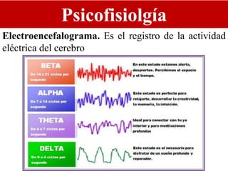 Psicofisiolgía
Electroencefalograma. Es el registro de la actividad
eléctrica del cerebro
 