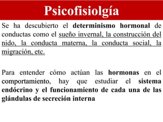 Psicofisiolgía
Se ha descubierto el determinismo hormonal de
conductas como el sueño invernal, la construcción del
nido, la conducta materna, la conducta social, la
migración, etc.
Para entender cómo actúan las hormonas en el
comportamiento, hay que estudiar el sistema
endócrino y el funcionamiento de cada una de las
glándulas de secreción interna
 
