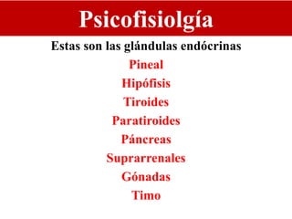 Psicofisiolgía
Estas son las glándulas endócrinas
Pineal
Hipófisis
Tiroides
Paratiroides
Páncreas
Suprarrenales
Gónadas
Timo
 